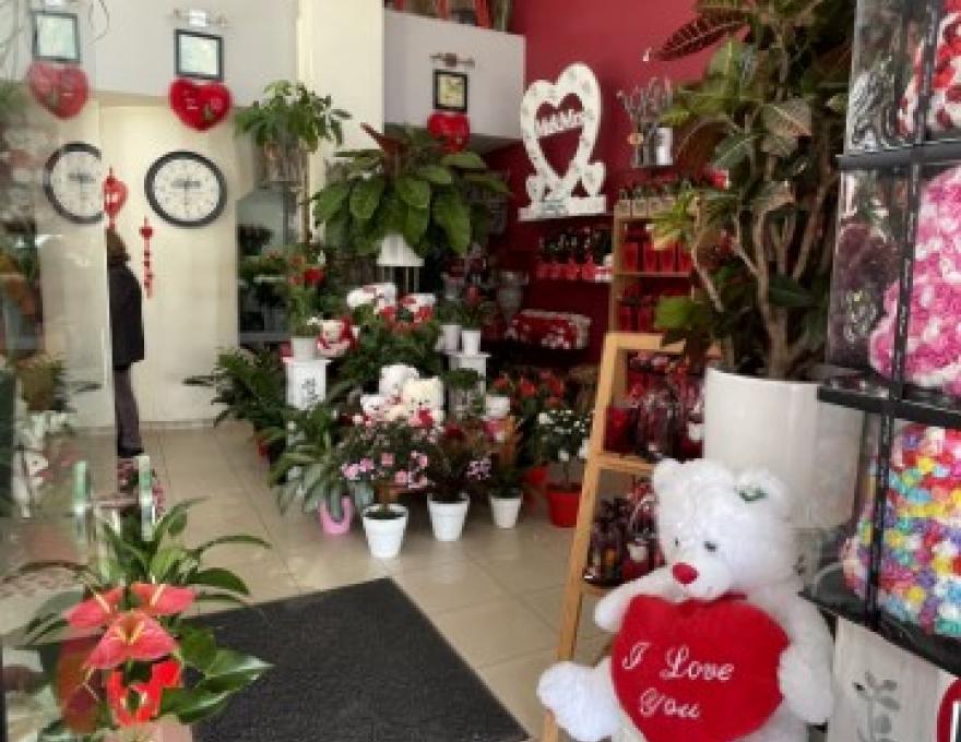 ΑΝΘΟΠΩΛΕΙΟ ΤΑΚΗΣ ΜΑΥΡΙΔΗΣ2 ΑΝΘΟΠΩΛΕΙΟ ΤΑΚΗΣ ΜΑΥΡΙΔΗΣ2