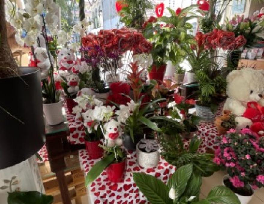 ΑΝΘΟΠΩΛΕΙΟ ΤΑΚΗΣ ΜΑΥΡΙΔΗΣ4 ΑΝΘΟΠΩΛΕΙΟ ΤΑΚΗΣ ΜΑΥΡΙΔΗΣ4