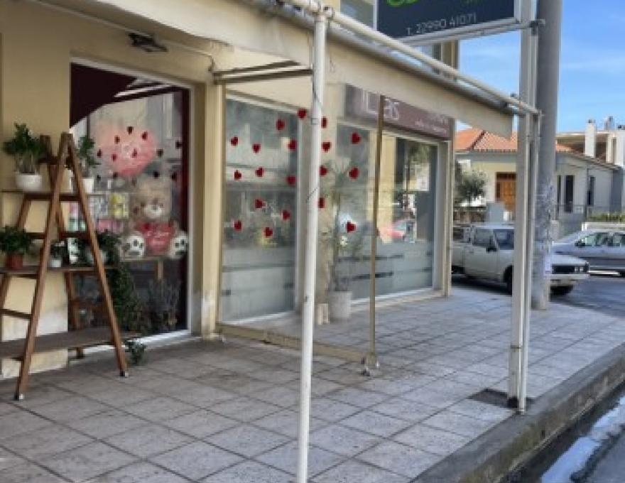 ΑΝΘΟΠΩΛΕΙΟ ΤΑΚΗΣ ΜΑΥΡΙΔΗΣ0 ΑΝΘΟΠΩΛΕΙΟ ΤΑΚΗΣ ΜΑΥΡΙΔΗΣ0