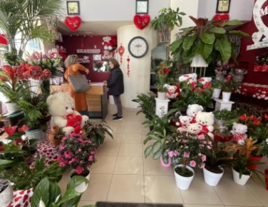 ΑΝΘΟΠΩΛΕΙΟ ΤΑΚΗΣ ΜΑΥΡΙΔΗΣ3 ΑΝΘΟΠΩΛΕΙΟ ΤΑΚΗΣ ΜΑΥΡΙΔΗΣ3