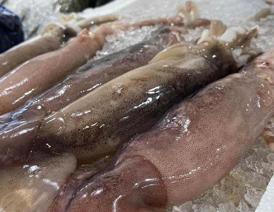 ΝΤΕΛΕΝΙΑΣ1 ΝΤΕΛΕΝΙΑΣ1