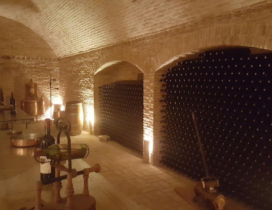 ΟΙΝΟΠΑΡΑΓΩΓΗ ΒΑΣΙΛΗ ΠΑΝΑΓΙΩΤΟΥ0 ΟΙΝΟΠΑΡΑΓΩΓΗ ΒΑΣΙΛΗ ΠΑΝΑΓΙΩΤΟΥ0