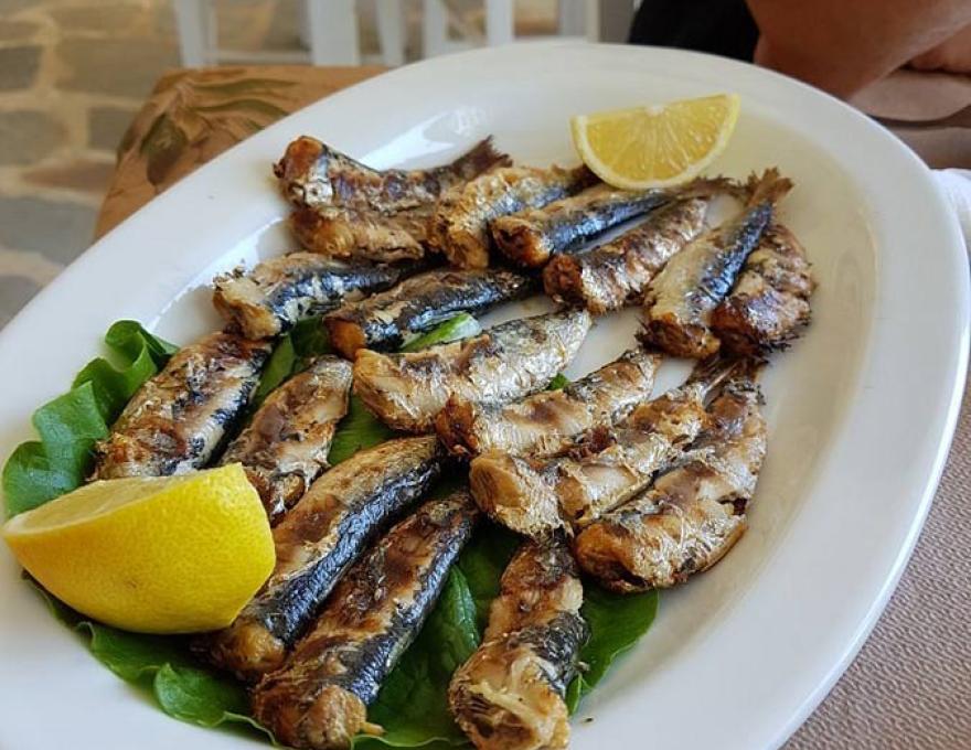 ΠΑΝΟΡΑΜΑ ΑΥΛΑΚΙ3 ΠΑΝΟΡΑΜΑ ΑΥΛΑΚΙ3