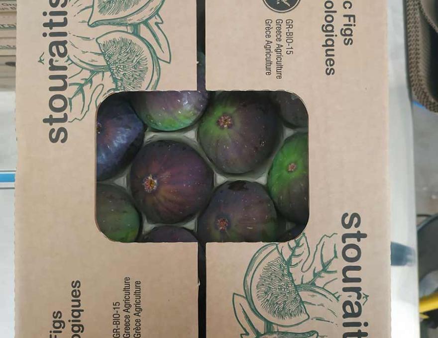 ΣΥΚΑ ΜΑΡΚΟΠΟΛΟΥ ΣΤΟΥΡΑΙΤΗΣ2 ΣΥΚΑ ΜΑΡΚΟΠΟΛΟΥ ΣΤΟΥΡΑΙΤΗΣ2