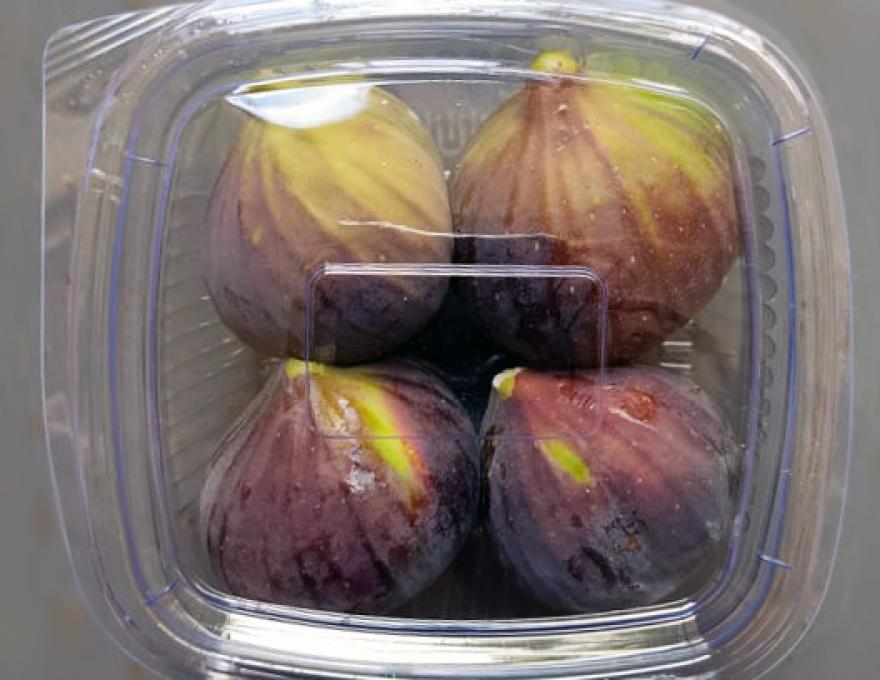 ΣΥΚΑ ΜΑΡΚΟΠΟΛΟΥ ΣΤΟΥΡΑΙΤΗΣ1 ΣΥΚΑ ΜΑΡΚΟΠΟΛΟΥ ΣΤΟΥΡΑΙΤΗΣ1