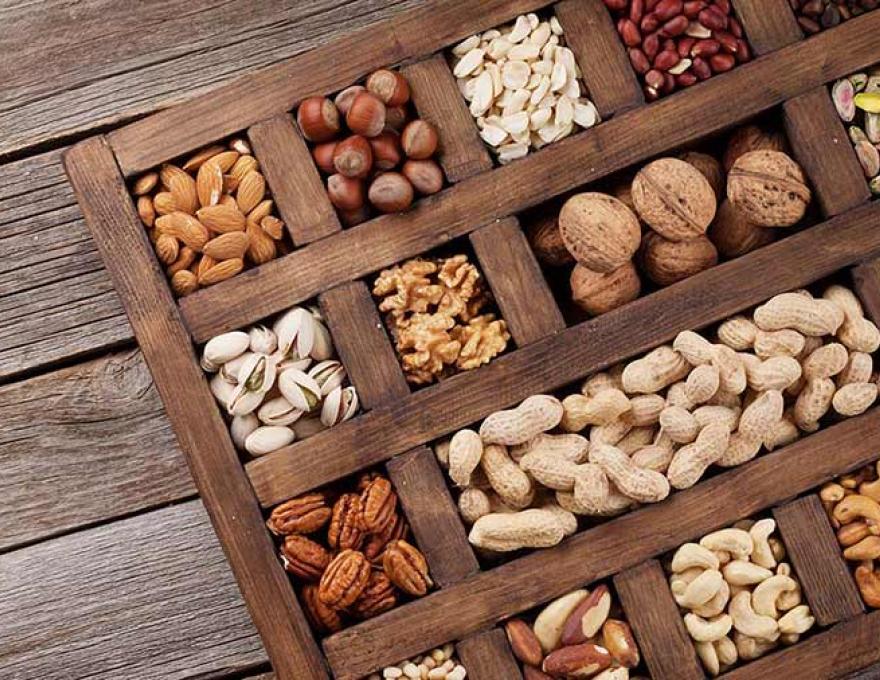 ΤΟ ΑΛΜΥΡΟ ΦΥΣΤΙΚΙ2 ΤΟ ΑΛΜΥΡΟ ΦΥΣΤΙΚΙ2