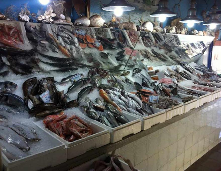 ΨΑΡΩΤΙΚΟΝ2 ΨΑΡΩΤΙΚΟΝ2