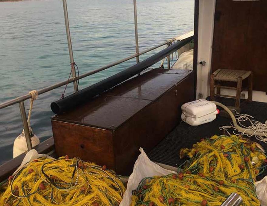 ΨΑΡΩΤΙΚΟΝ1 ΨΑΡΩΤΙΚΟΝ1