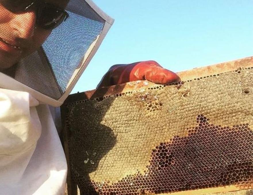 DRAKOS HONEY3 DRAKOS HONEY3