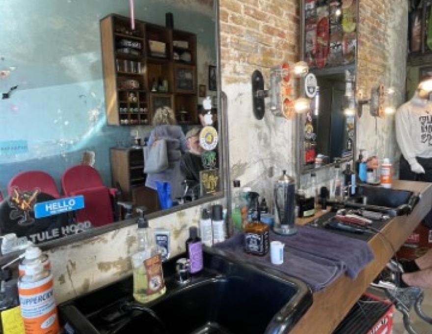 TULE HOOD4 TULE HOOD4