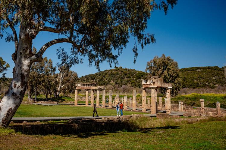 Στα ίχνη της Αρτέμιδος