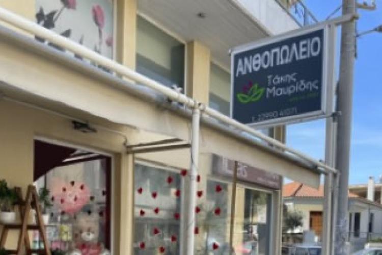 ΑΝΘΟΠΩΛΕΙΟ ΤΑΚΗΣ ΜΑΥΡΙΔΗΣ